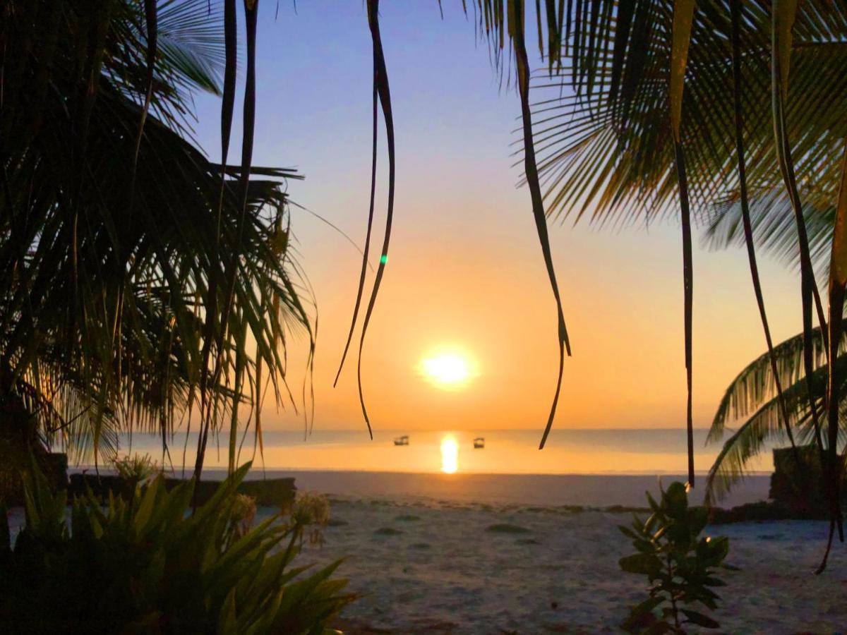 Coconut Village Beach Resort شاطئ دياني المظهر الخارجي الصورة