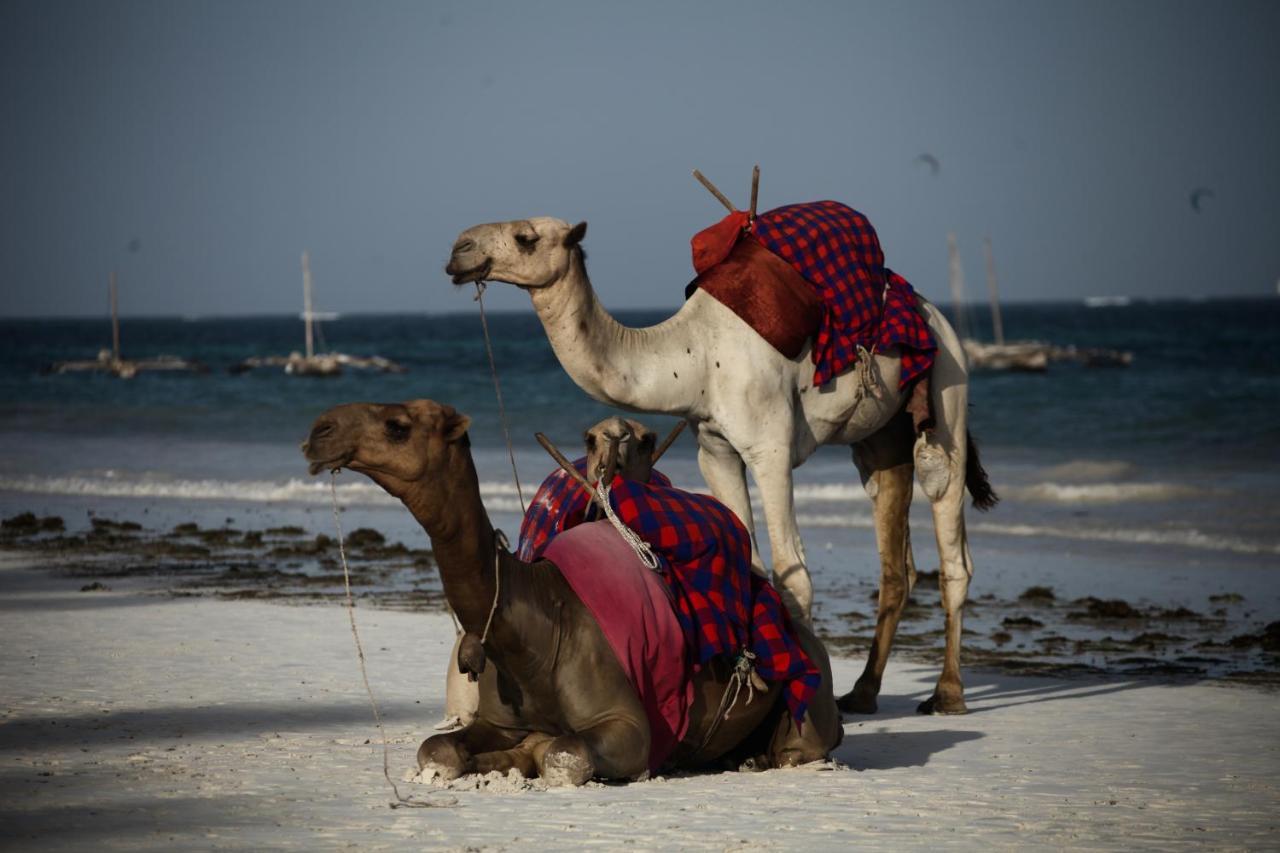 Coconut Village Beach Resort شاطئ دياني المظهر الخارجي الصورة