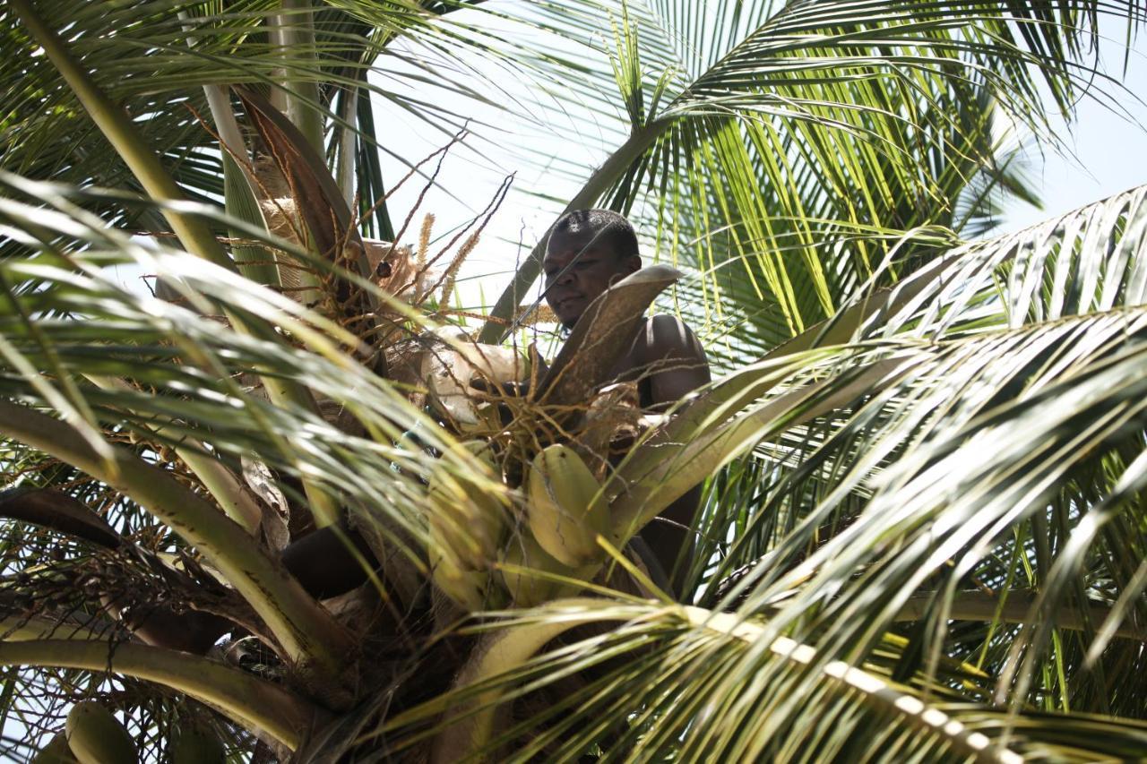 Coconut Village Beach Resort شاطئ دياني المظهر الخارجي الصورة
