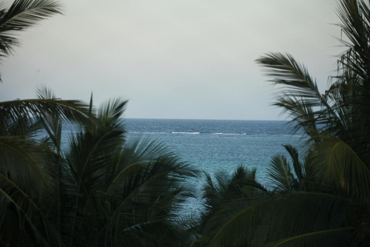 Coconut Village Beach Resort شاطئ دياني المظهر الخارجي الصورة